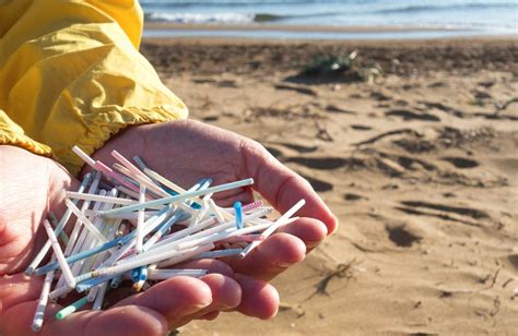 O­k­y­a­n­u­s­t­a­ ­p­l­a­s­t­i­k­ ­k­u­l­l­a­n­ı­m­ı­n­ı­ ­b­i­t­i­r­e­c­e­k­ ­p­e­r­v­a­n­e­l­e­r­ ­g­e­l­i­y­o­r­